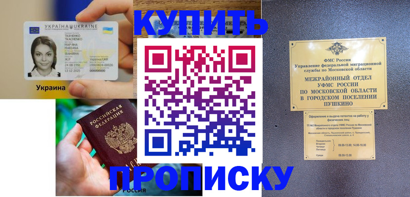 прописка законно в Щиграх